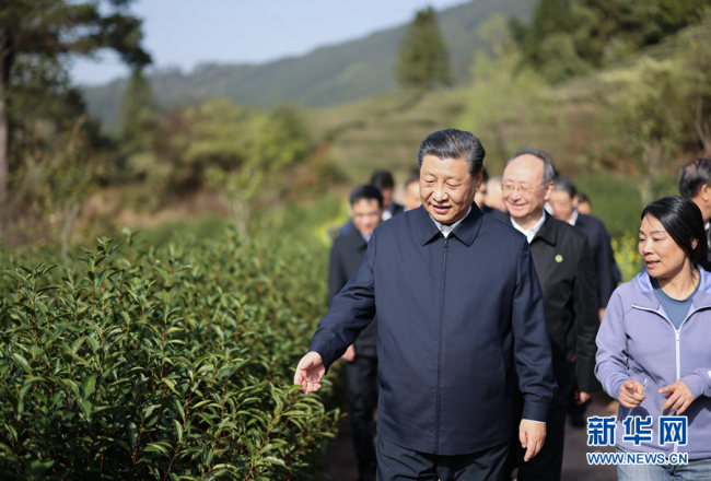 学习进行时丨习的“茶之道ayx爱游戏”