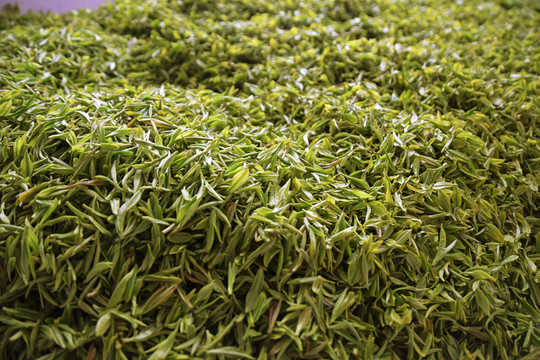 2022年 一篇文章读懂茶茶分哪几类？绿茶白茶黄茶青茶红茶黑茶适合什么人喝？买什