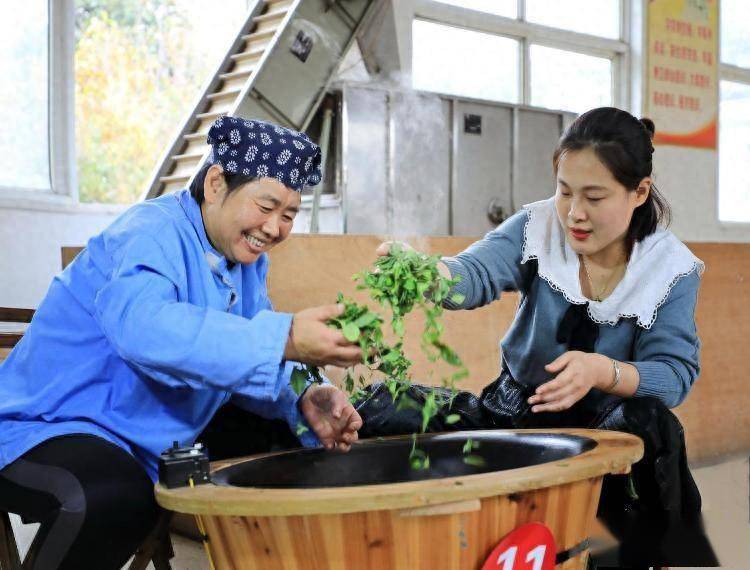 新春观察丨浓茶香里品年味诸城茶叶销售爆