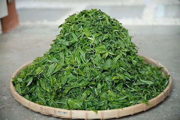 品牌运营：竹叶青茶叶品牌年度整合传播的的策划案（附下载）