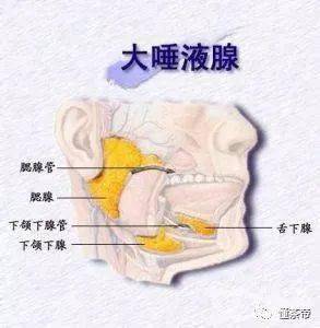 茶叶的“回甘生津”你真的会感受吗？ayx爱游戏(图5)