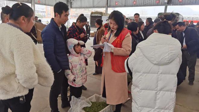 茶香四溢 产销两旺 雅安市名山区双河茶叶鲜叶交易市场正式开市(图2)