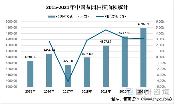 一文读懂2023年茶叶行业现状及前景：产量及需求量持续上涨