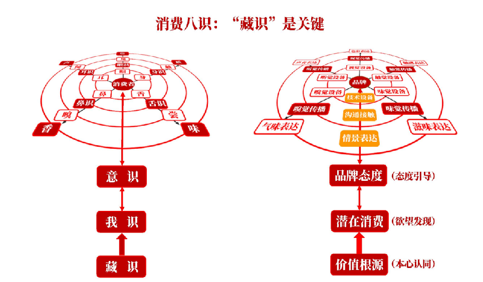 春茶季 胡晓云：中国茶全球品牌竞争中的中国言说(图6)