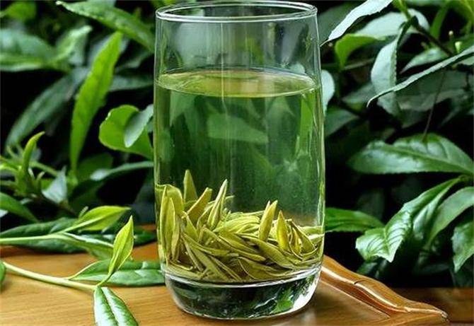 绿茶什么茶好喝一点？这6种茶你喝过几种你家乡产什么茶？