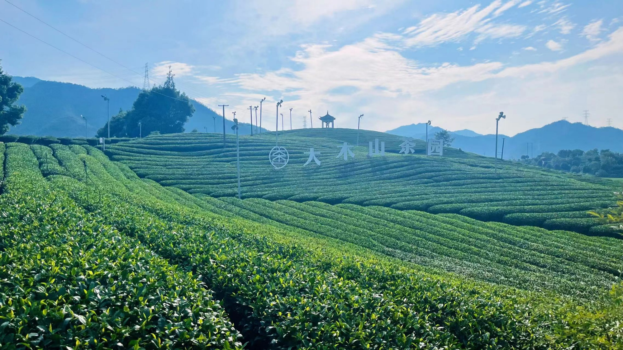 青海省海北州市场监管局开展茶叶过度包装“回头看”专项治理行动