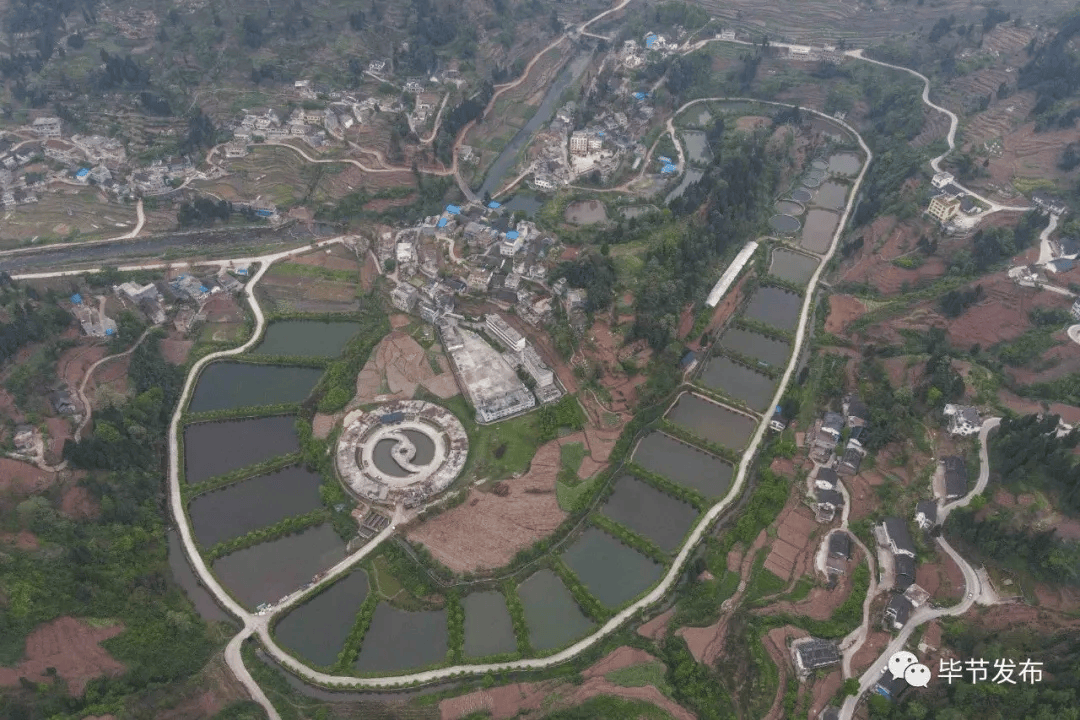 乌蒙绿浪涌 深山茶韵新 毕节市茶产业发展综述(图1)