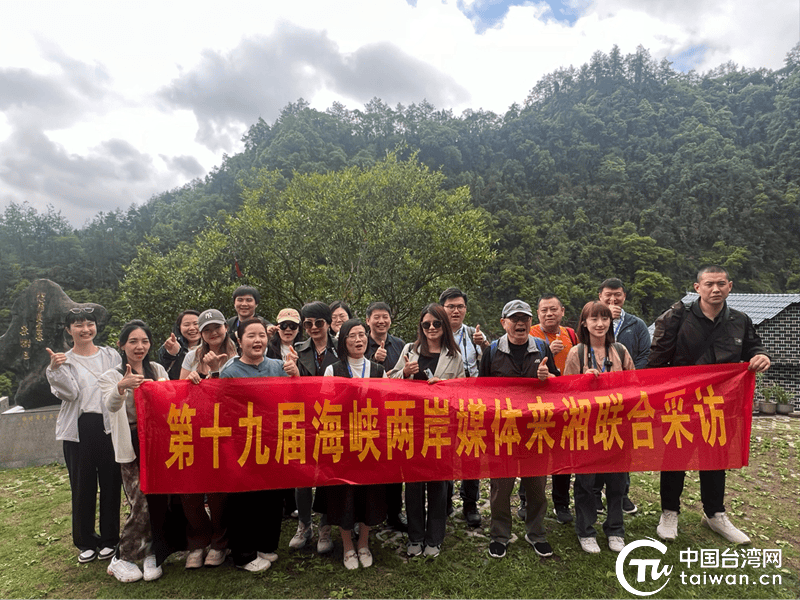 于一盏香茗之间品味湘西茶香ayx爱游戏四溢的两岸情