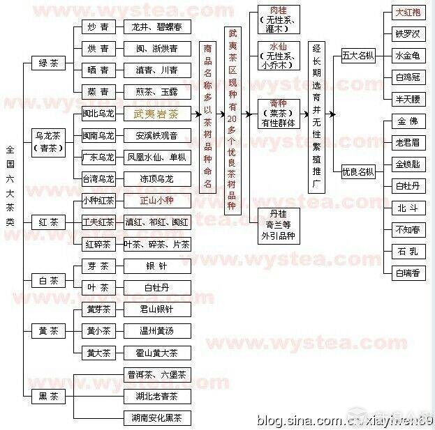 了解茶叶读这一篇就够了：茶叶分类及十大名茶(图21)