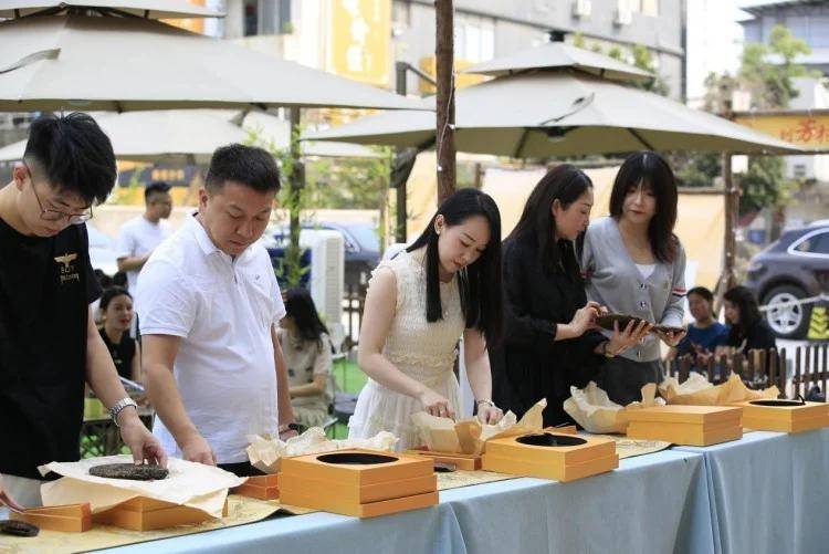 泛茶：传承老茶精髓共庆国际茶日品茗世界文化交融(图2)