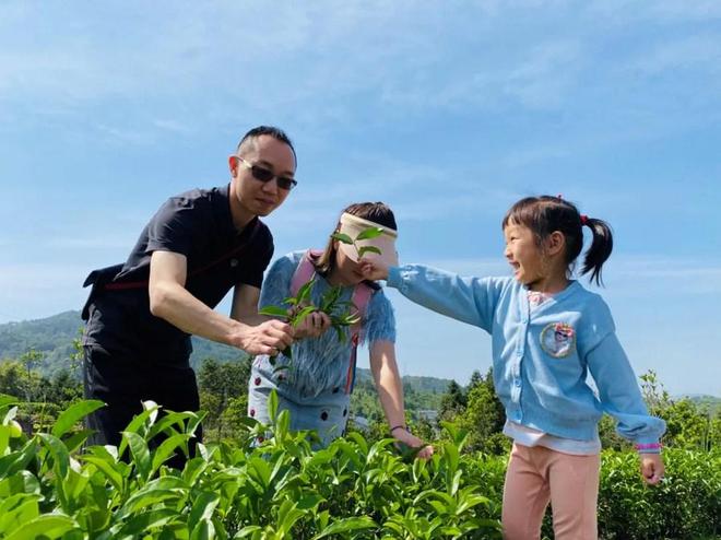 国际茶日丨茶叶、茶饮、茶文化……一杯茶的N种玩法(图6)