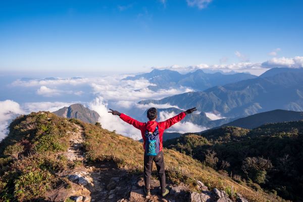 竹叶青茶叶(竹叶青采摘时间和收获ayx爱游戏季节)(图3)